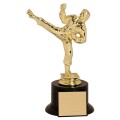 MA06 Martial Arts Trophy